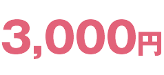 3,000円